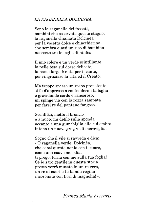 Immagine 12