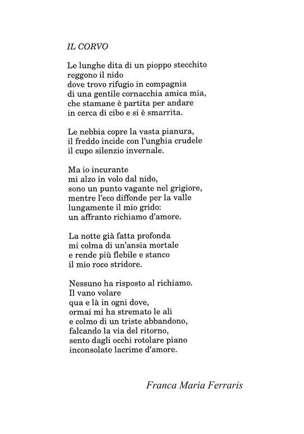 Immagine 15
