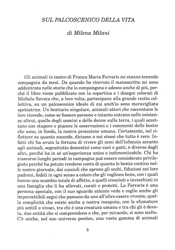 Immagine 5