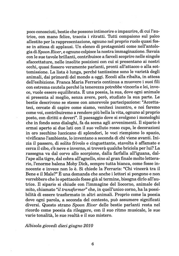Immagine 6