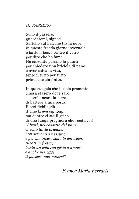 Immagine 8