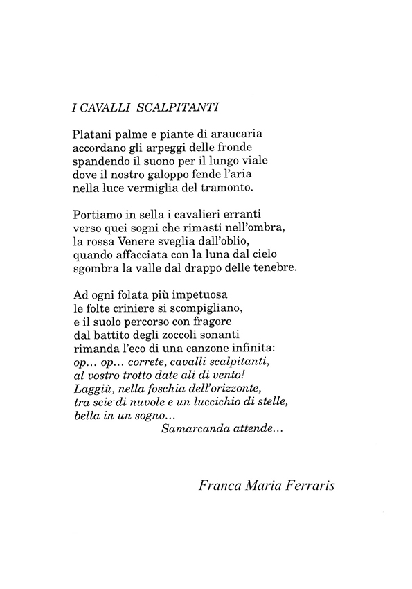 Immagine 9