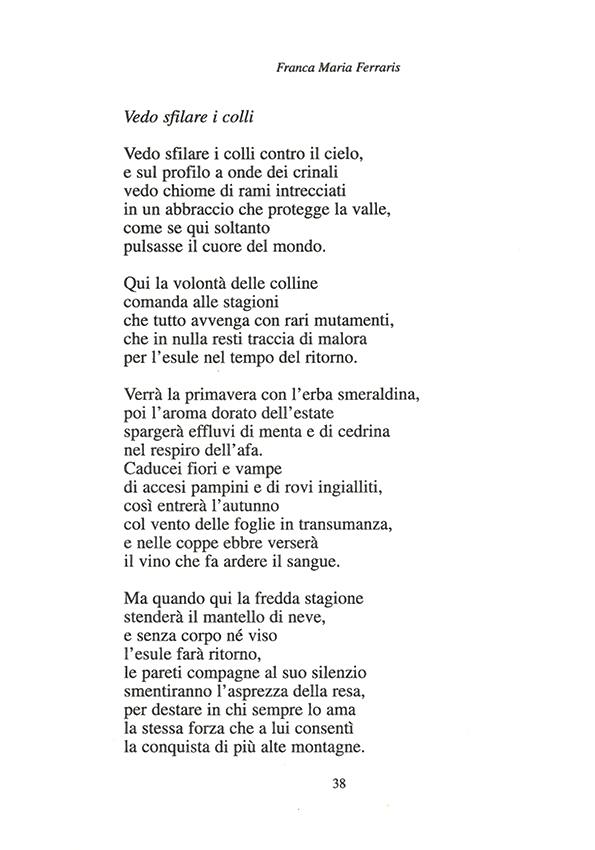 Immagine 14