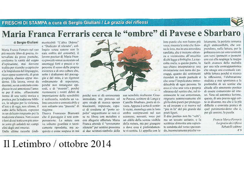 Immagine 1
