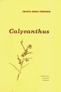 Calycanthus