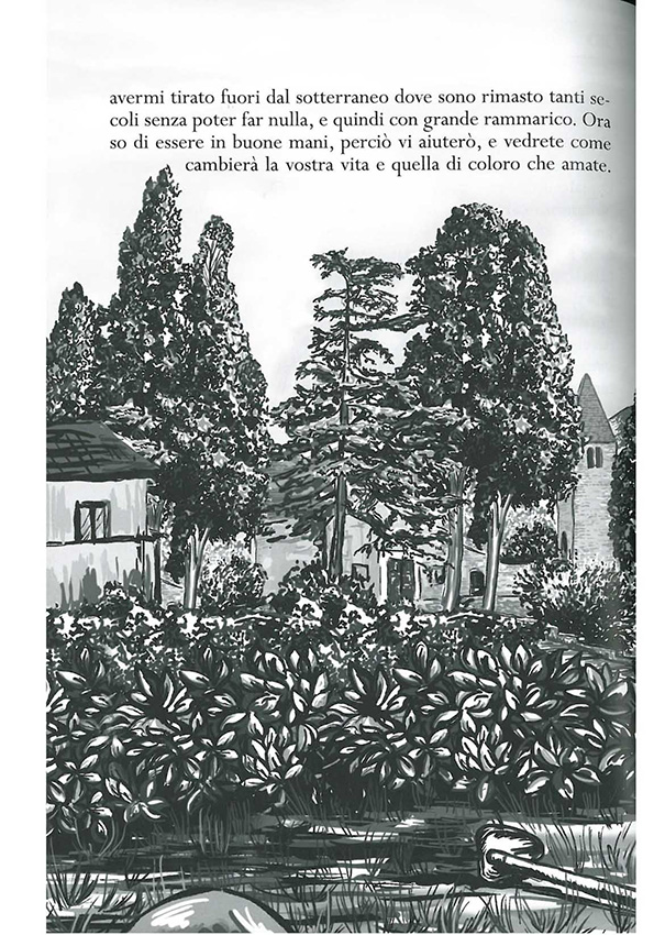 Immagine 6