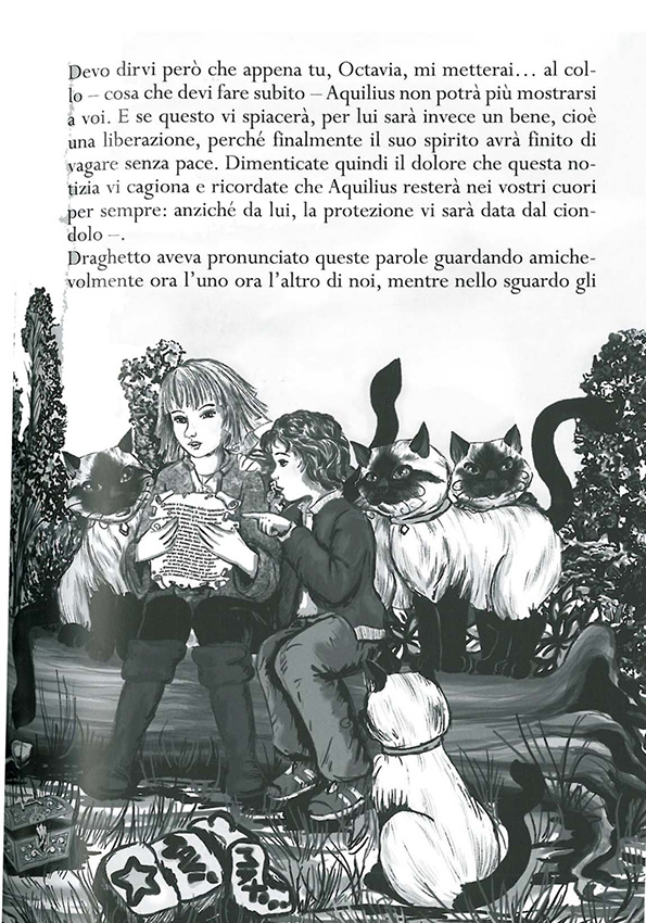 Immagine 7