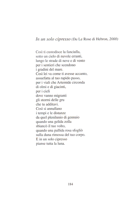 Immagine 6