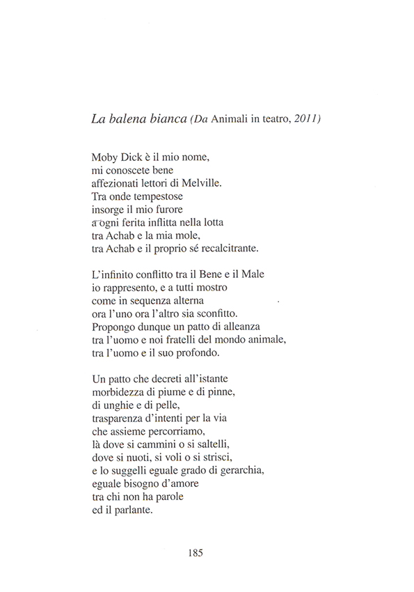 Immagine 7