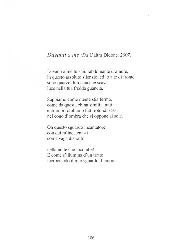 Immagine 8