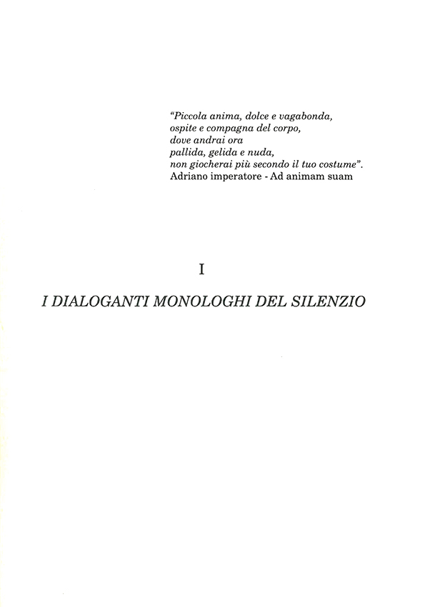 Immagine 10
