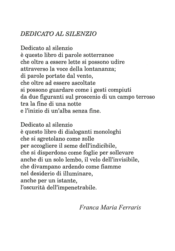 Immagine 11