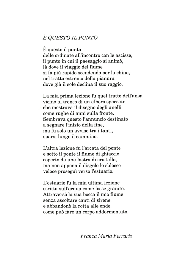 Immagine 13