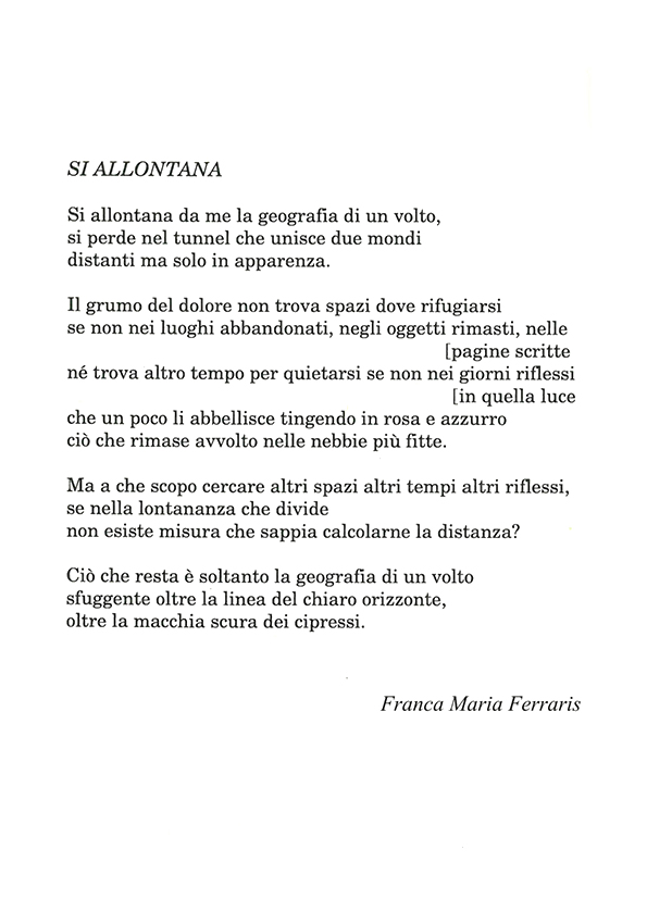Immagine 14