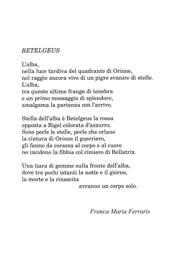 Immagine 15
