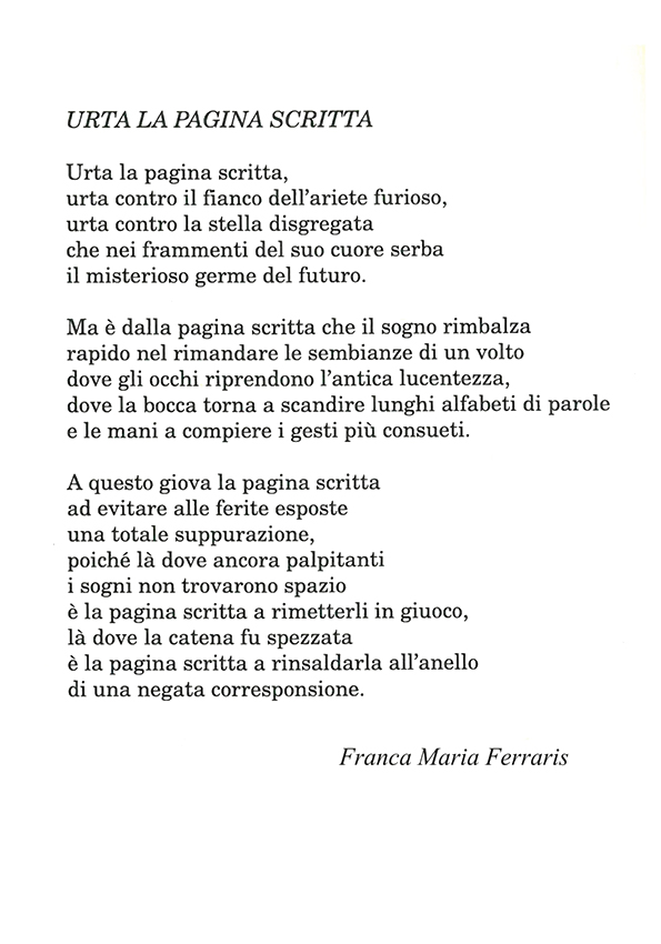 Immagine 16