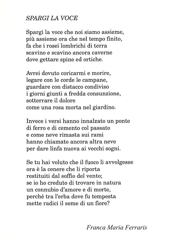 Immagine 17