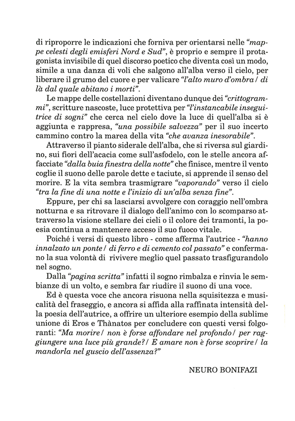 Immagine 7