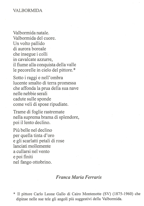 Immagine 11
