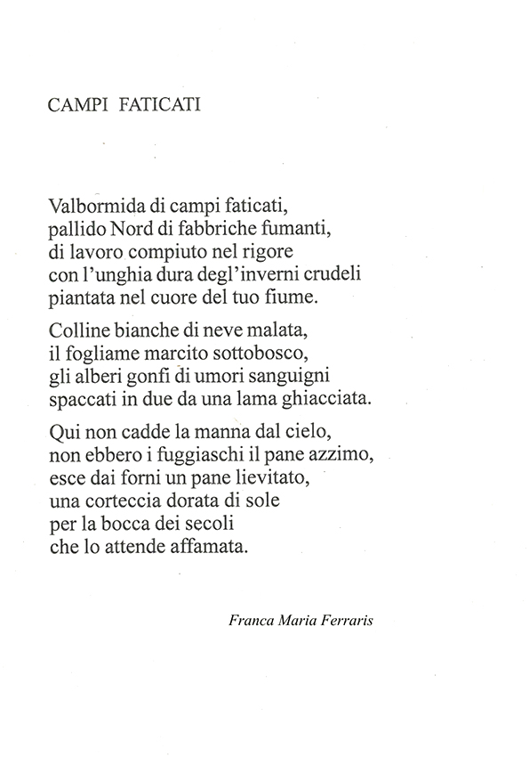 Immagine 12