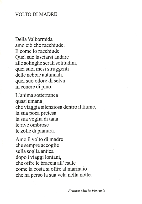 Immagine 13