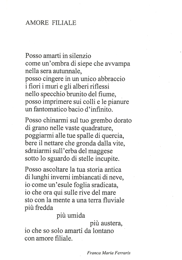 Immagine 14