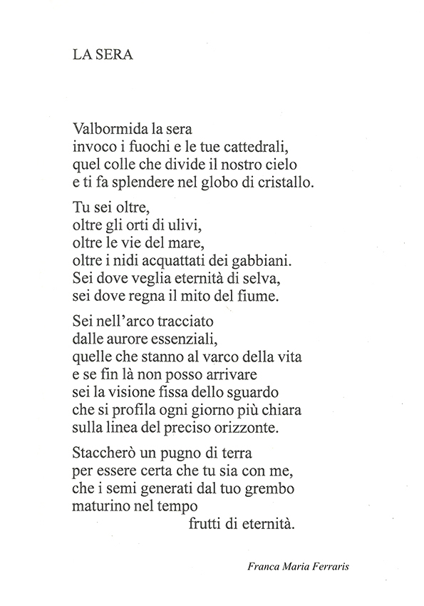 Immagine 15