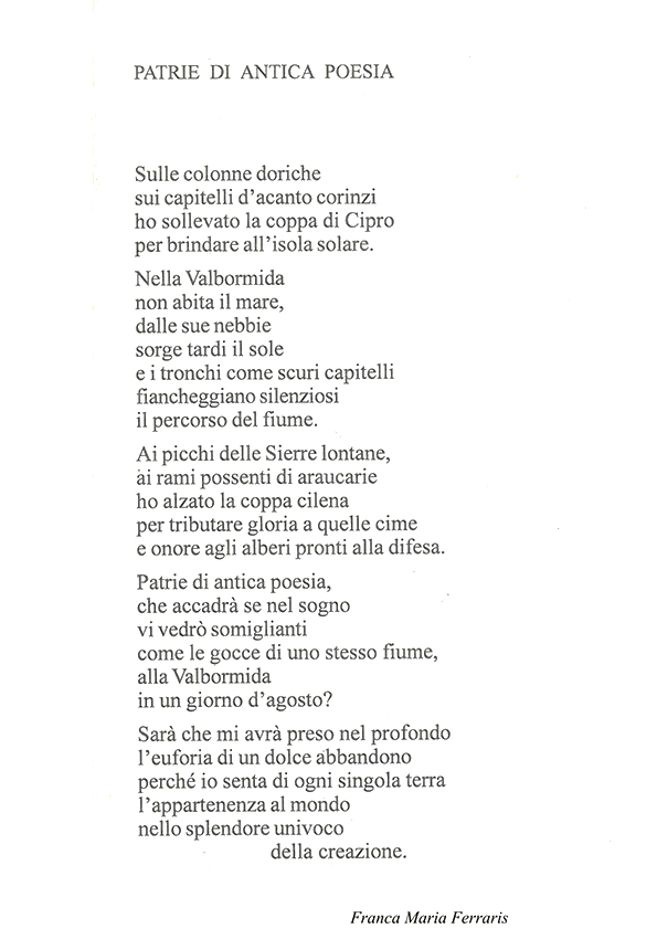 Immagine 16