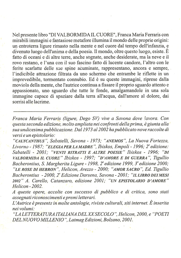 Immagine 3