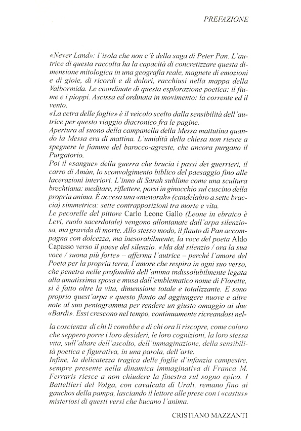Immagine 4