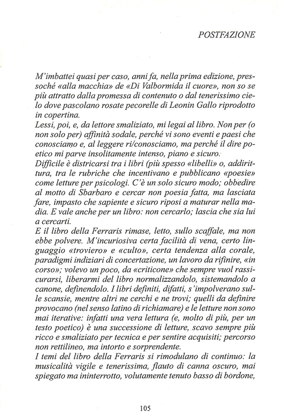 Immagine 9