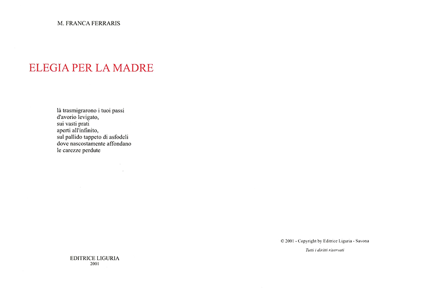 Immagine 1