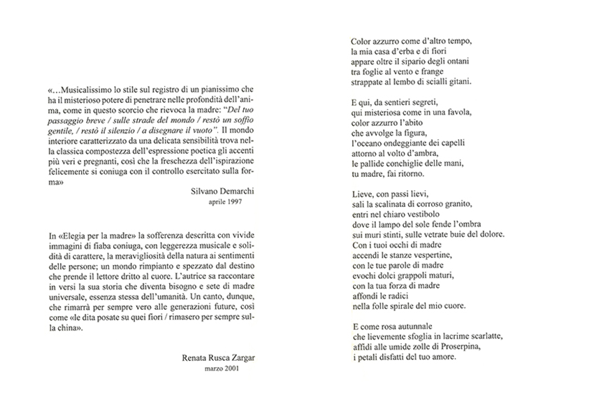 Immagine 3