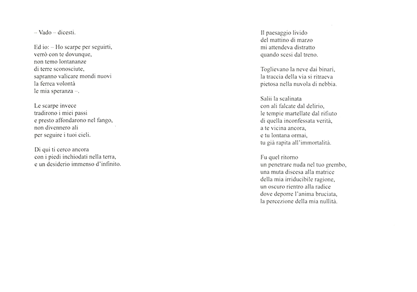 Immagine 4