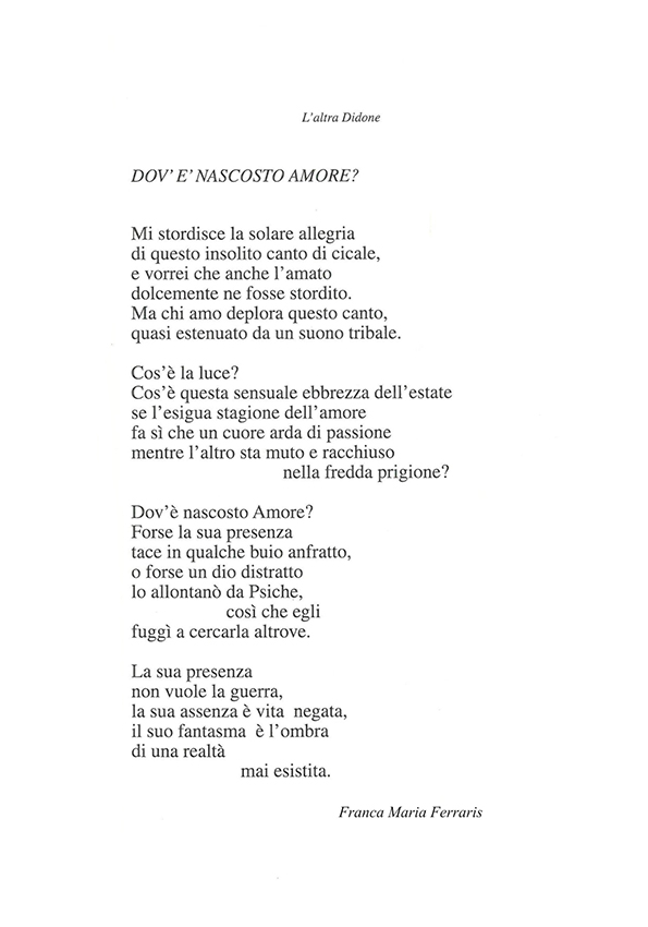 Immagine 14