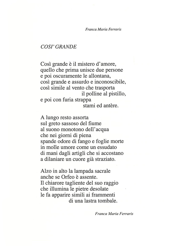 Immagine 15