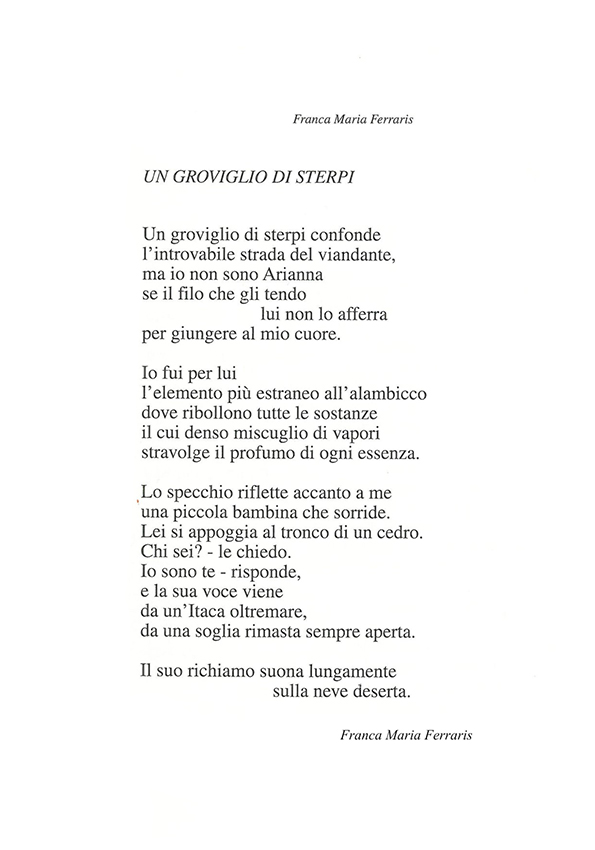 Immagine 16