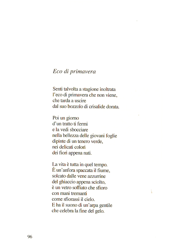 Immagine 6