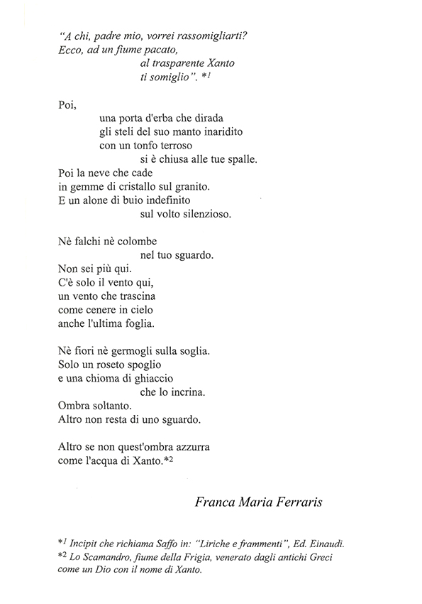 Immagine 12