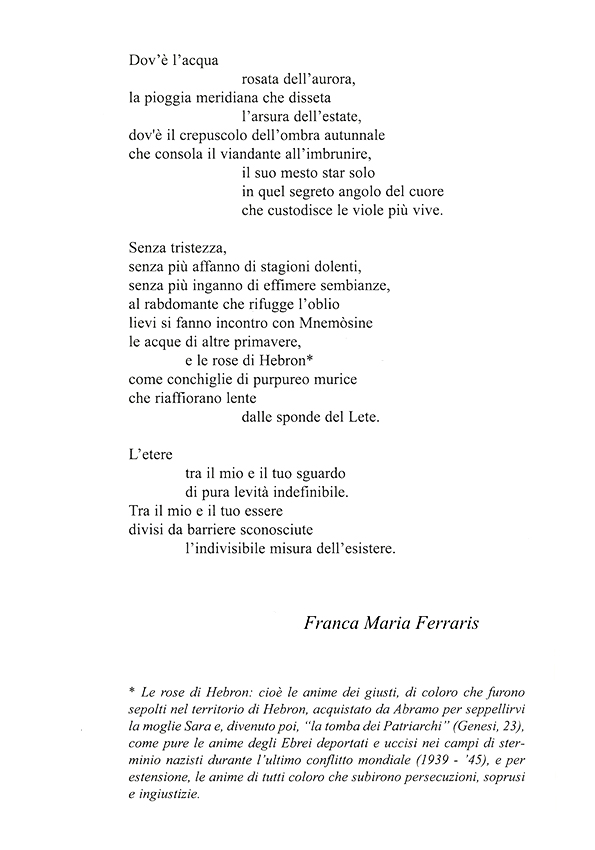 Immagine 13