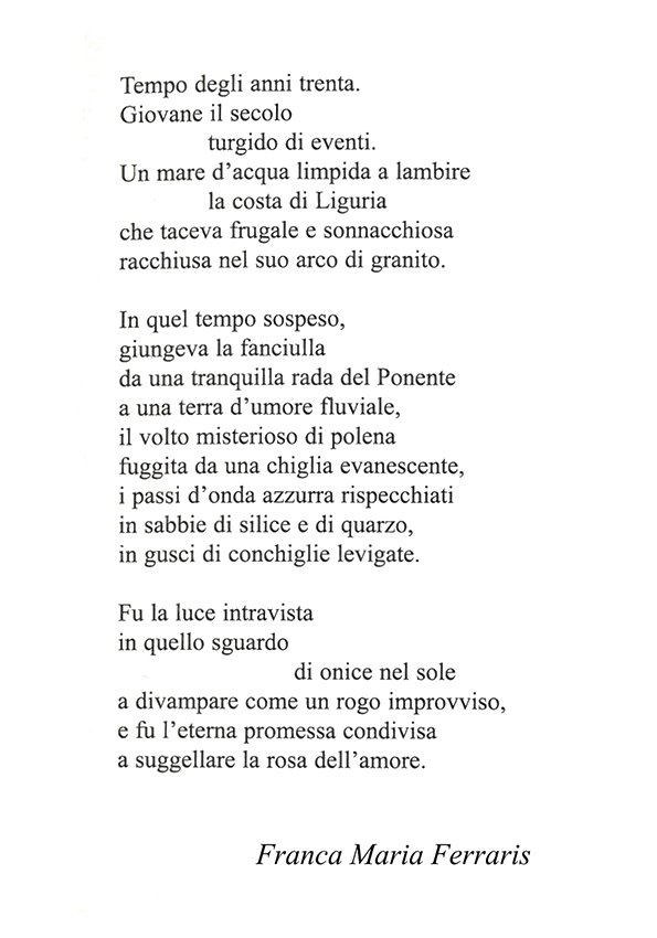Immagine 15