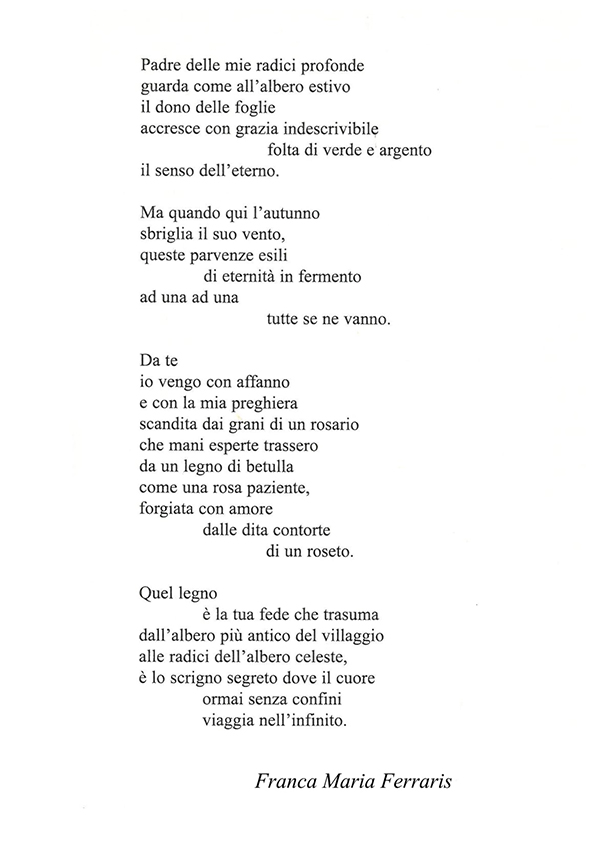 Immagine 16