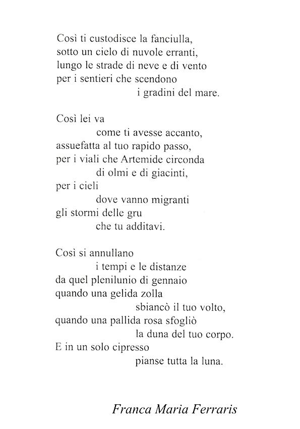 Immagine 17
