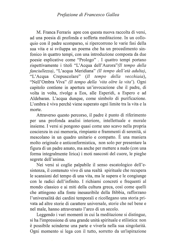 Immagine 5