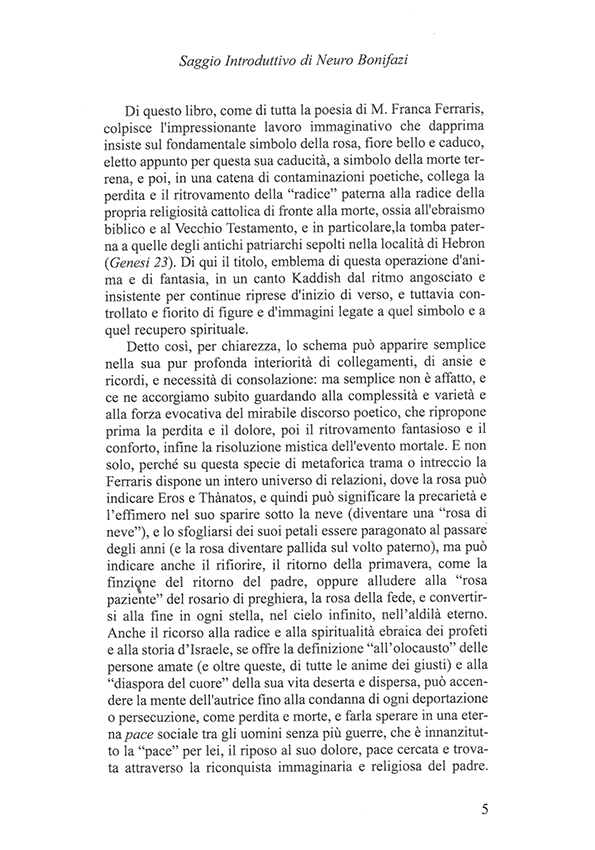 Immagine 7