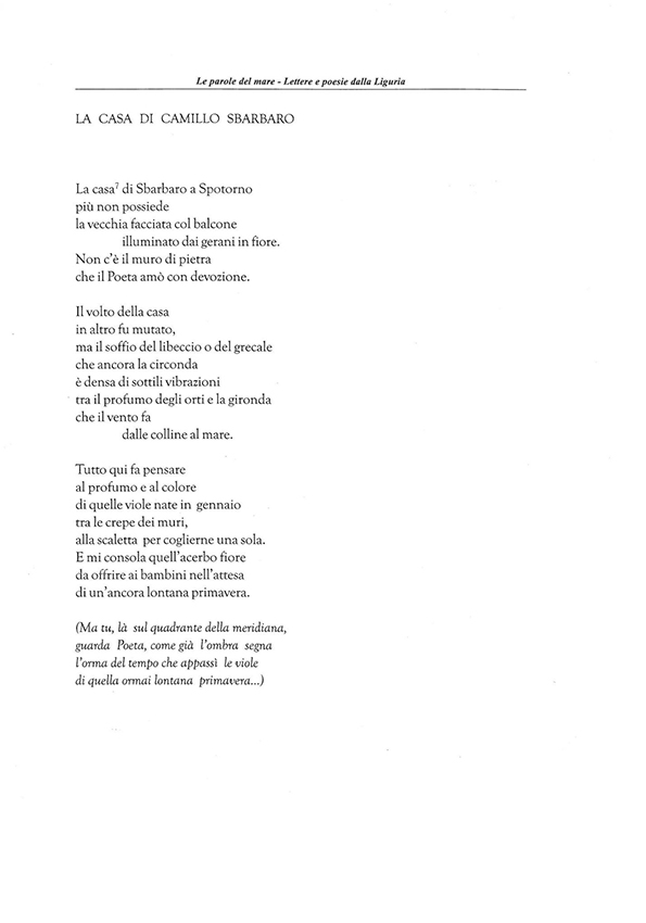 Immagine 6
