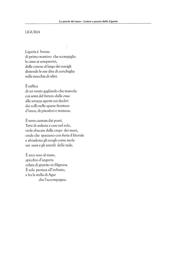 Immagine 7