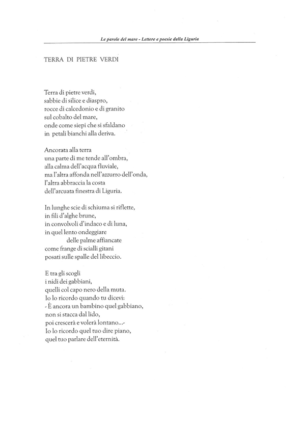 Immagine 8