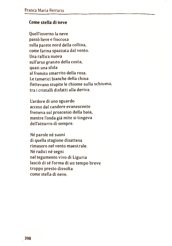 Immagine 4