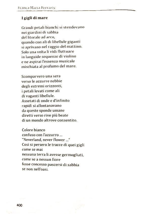 Immagine 6
